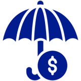 Financial protection icon
